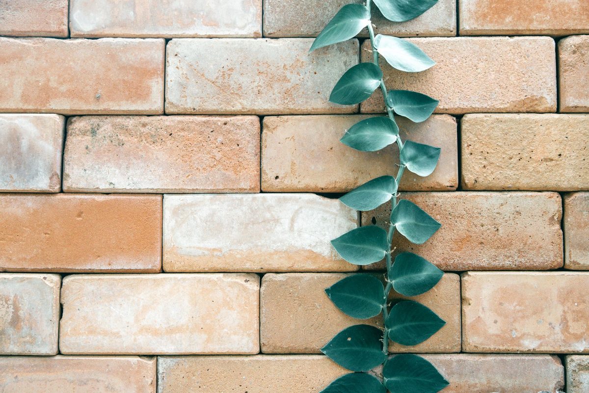 Professional brick patio design and installation