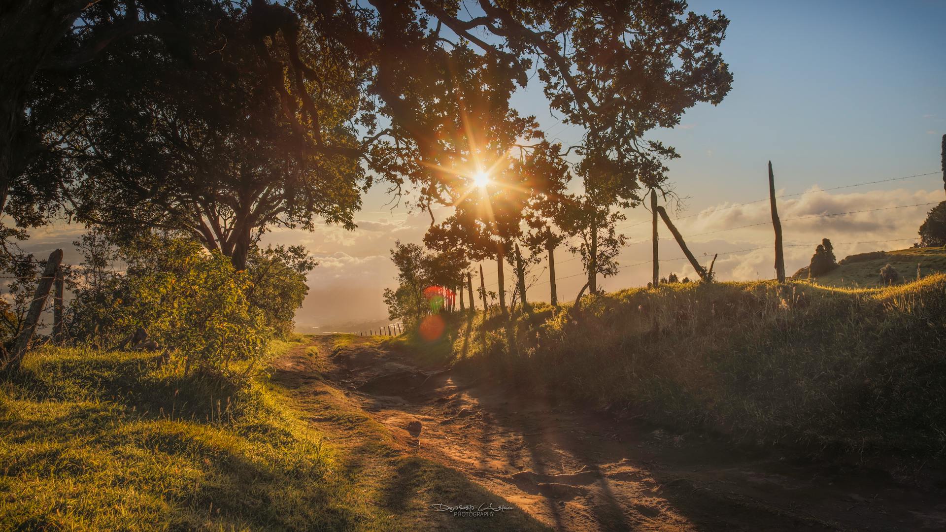 Premium stone wall installation showcasing professional landscape work